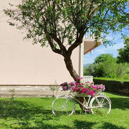 Apartman Dolcerosa Κότορ Εξωτερικό φωτογραφία