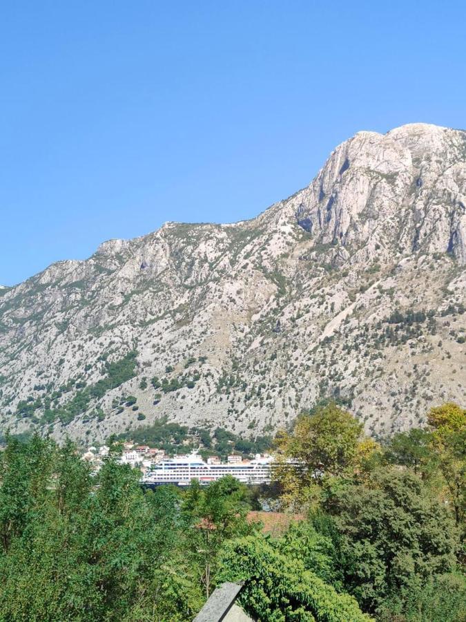 Apartman Dolcerosa Κότορ Εξωτερικό φωτογραφία