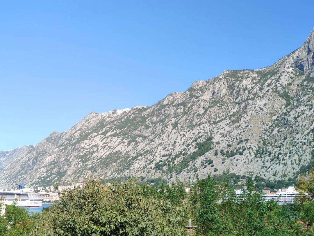 Apartman Dolcerosa Κότορ Εξωτερικό φωτογραφία